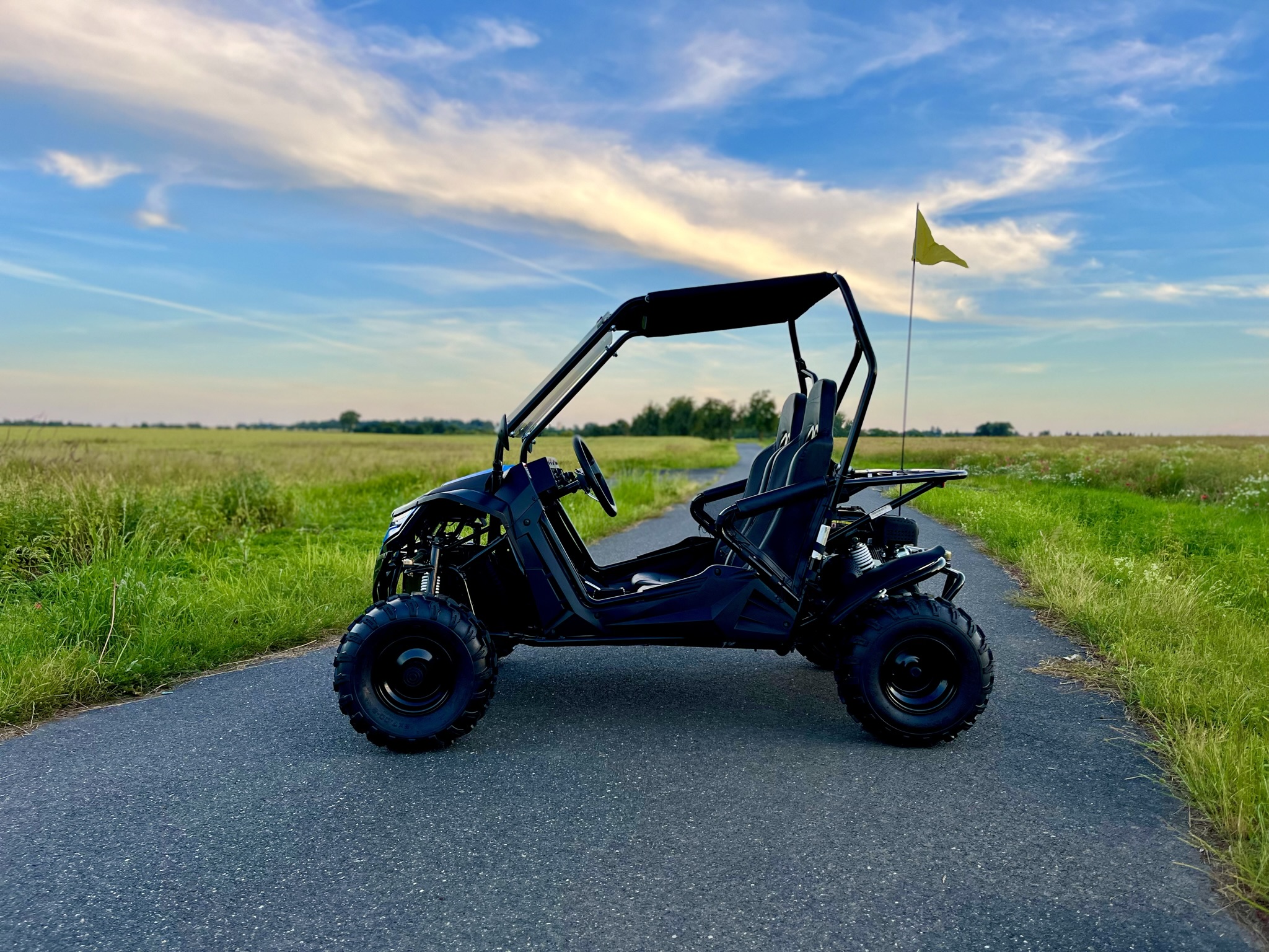 Dětská benzínová Super Buggy 208ccm AUTOMAT limitovaná edice - modrá - 3. pohled